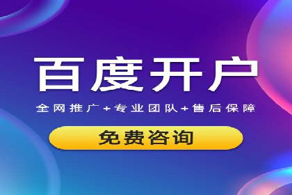 竞价托管服务案例解析